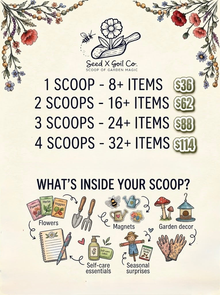 4 Scoops