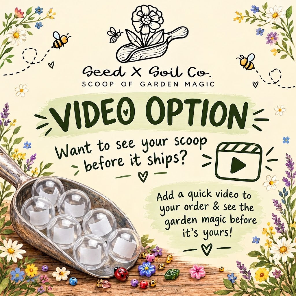 Scoop and Reveal Video