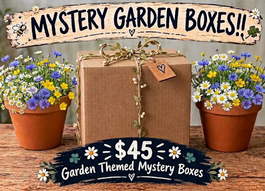 Mystery Box