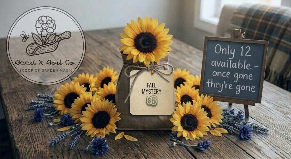 Seasonal Mystery Bag