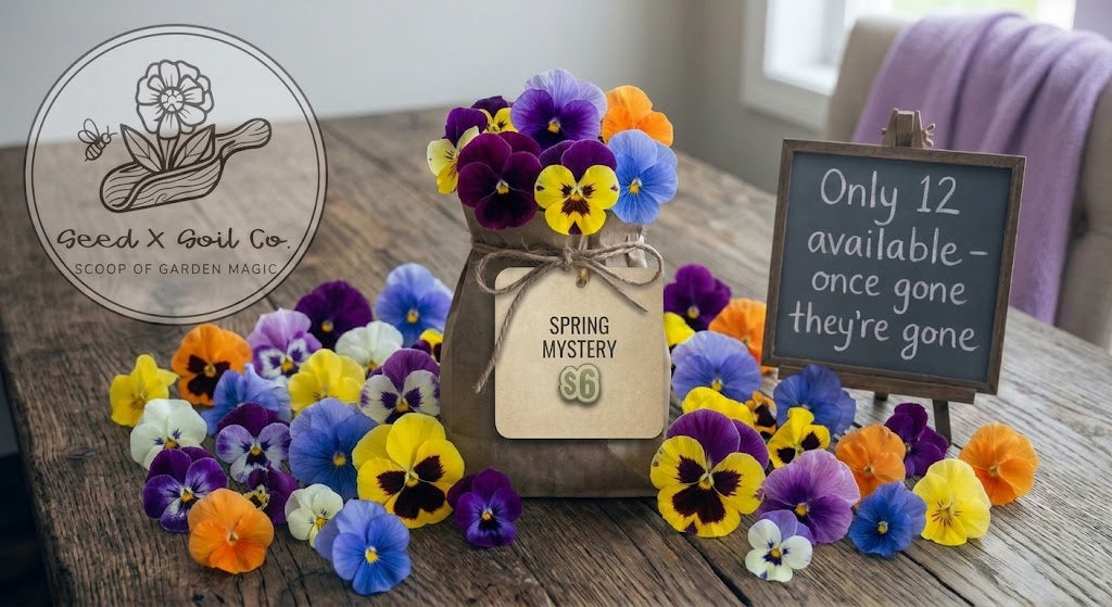 Seasonal Mystery Bag