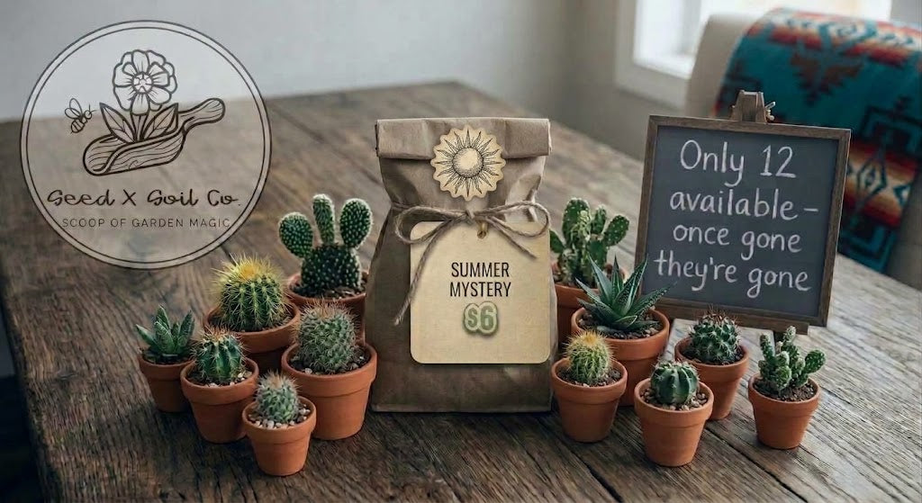 Seasonal Mystery Bag