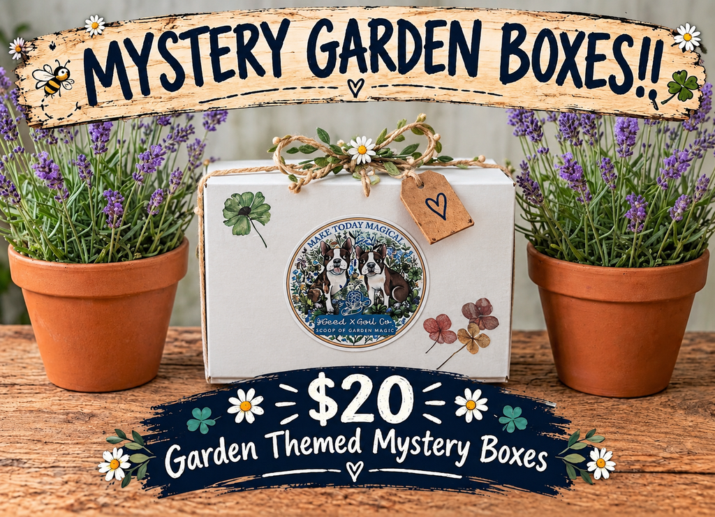 Mini Mystery Box