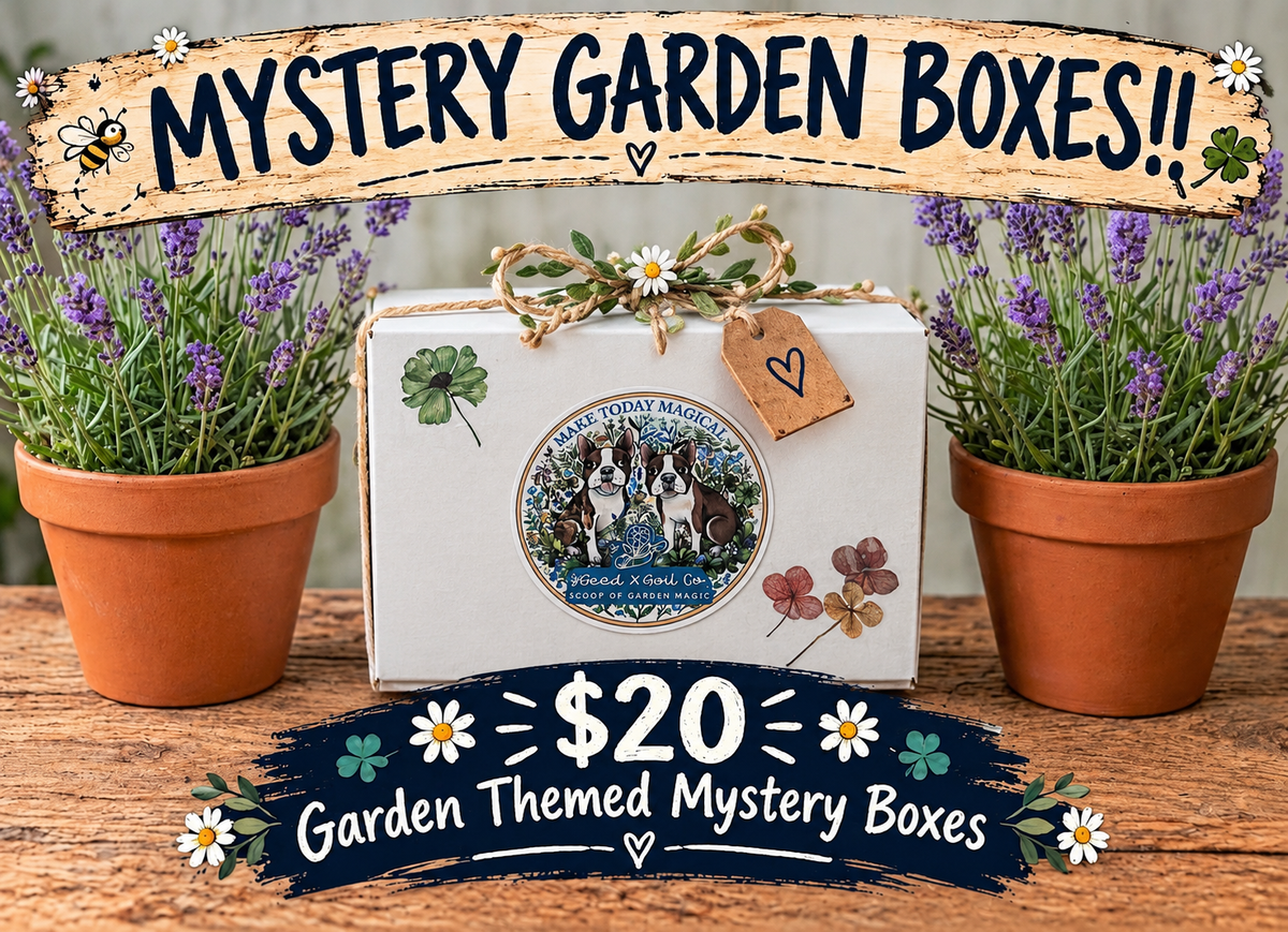 Mini Mystery Box