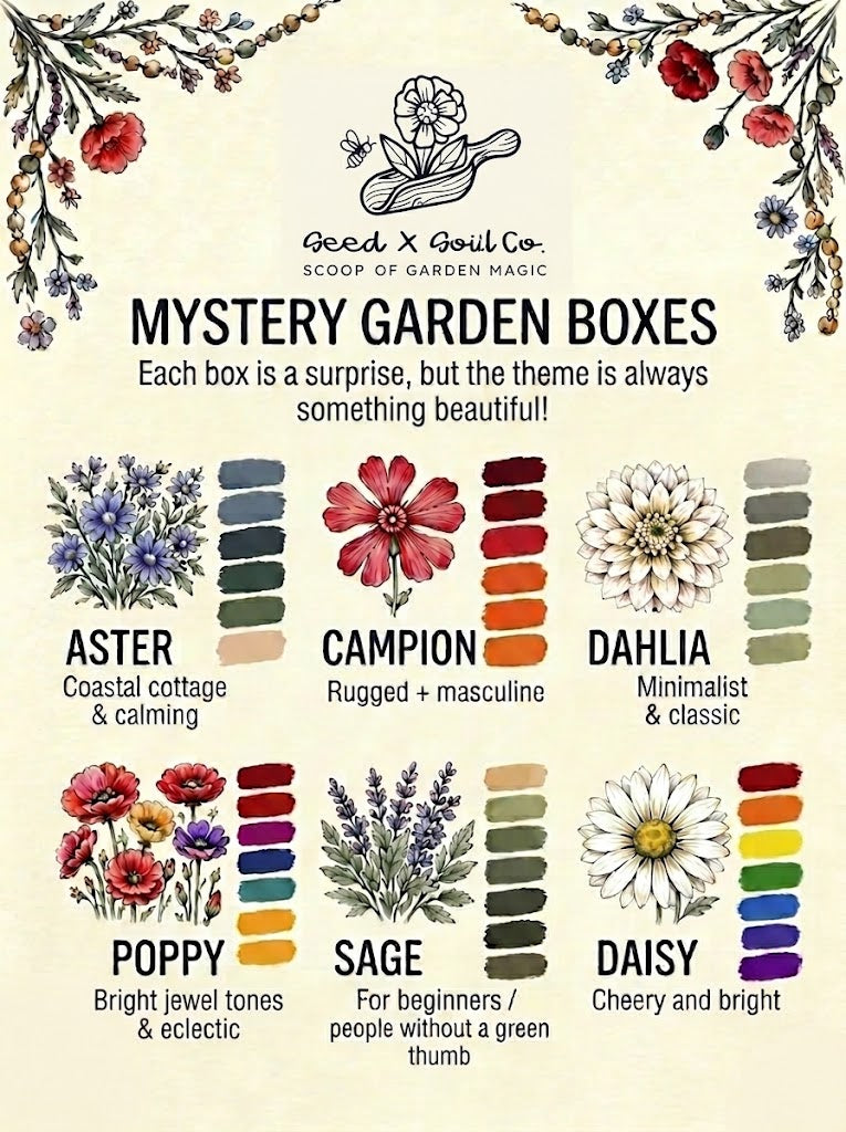 Mystery Box