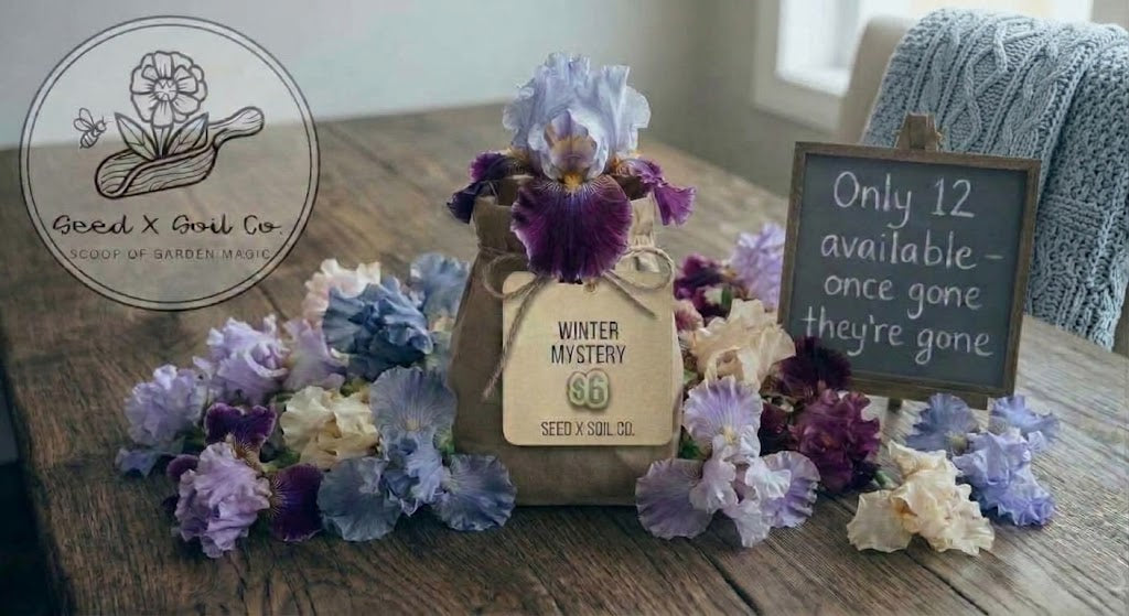 Seasonal Mystery Bag